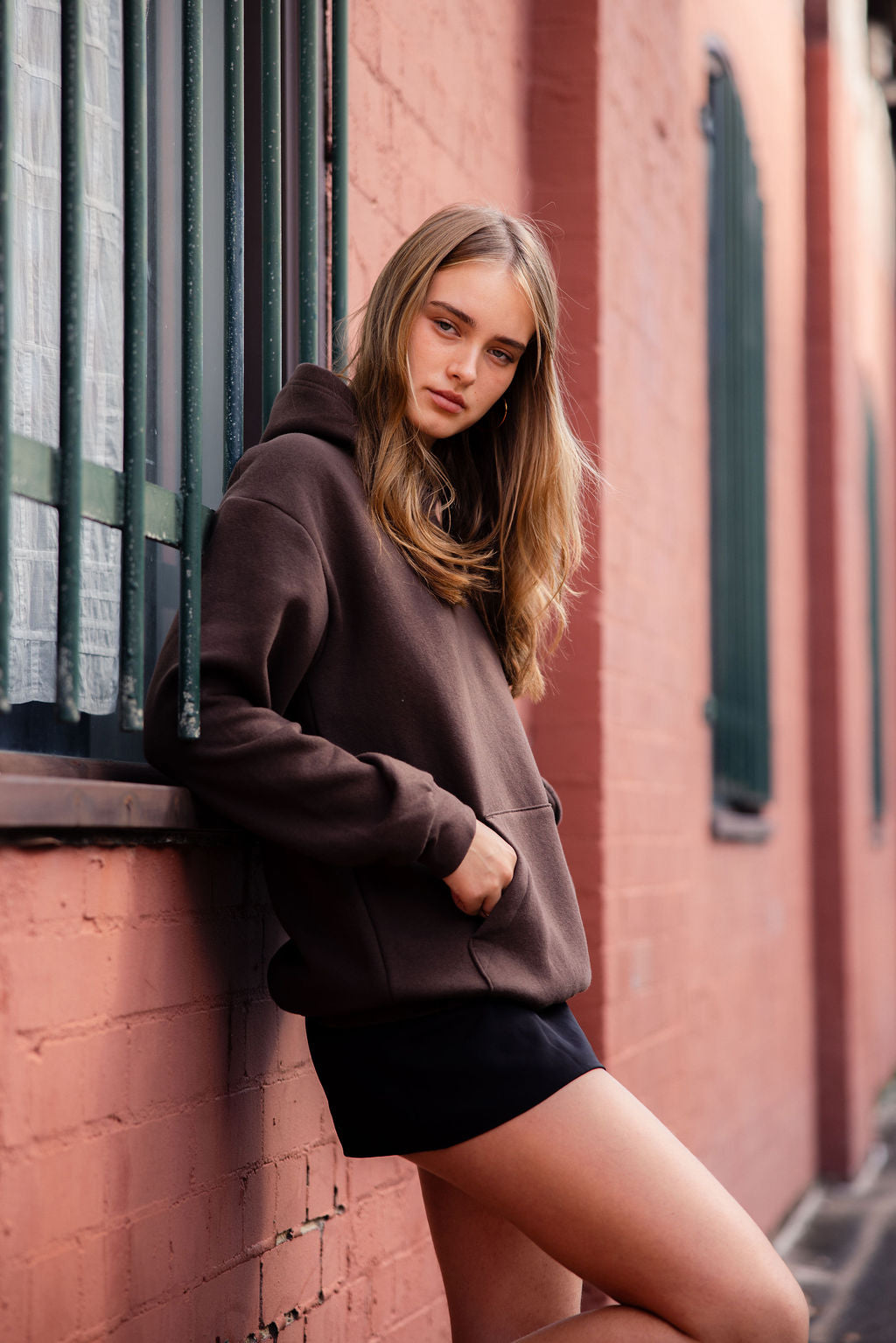 Pullover Hoodies image