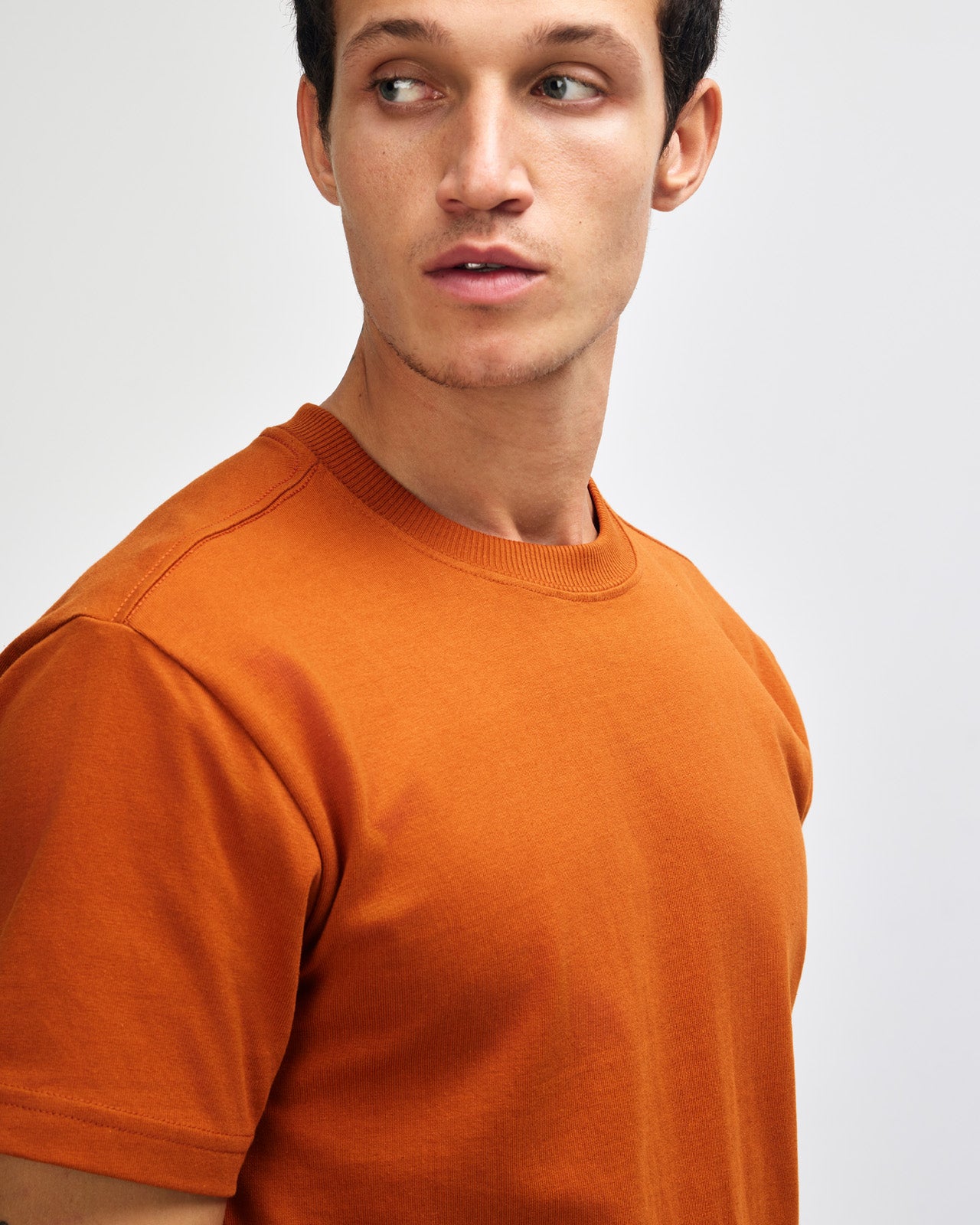 Male model wearing an American Apparel 9001 Unisex Oversized Fit Super Heavyweight T-shirt - Rust
